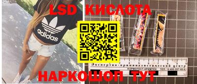 молекула духа Кандалакша