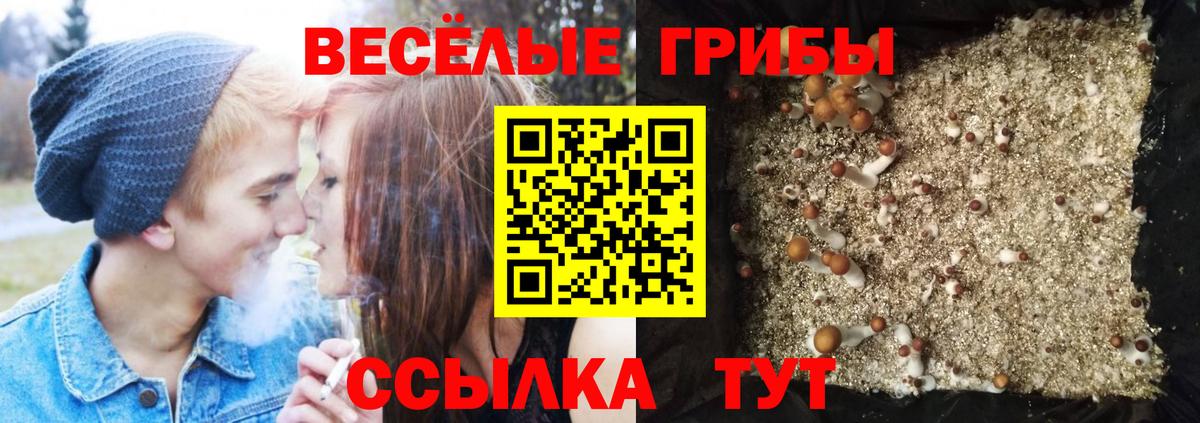 Псилоцибиновые грибы мицелий  Псилоцибиновые грибы мухоморы  Вход с VPN  Мурманск 