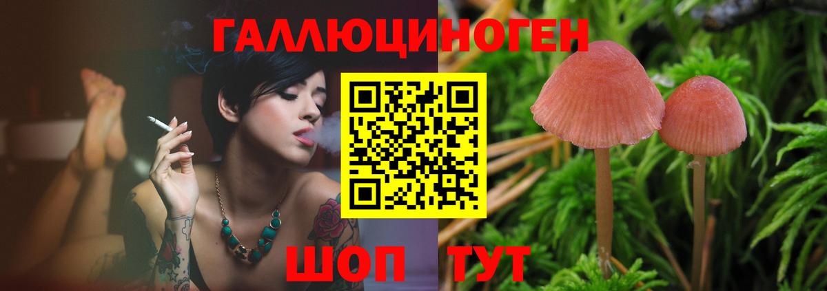 Галлюциногенные грибы Cubensis Мурманск